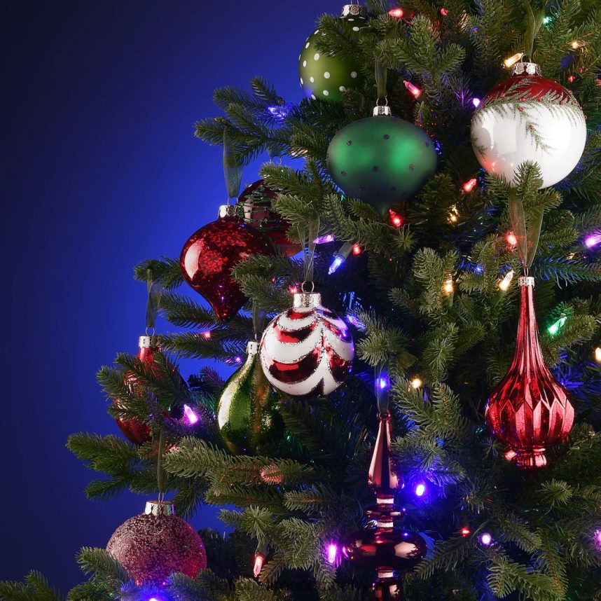 decoration | National Tree Company 20-Piece Christmas Tree Ornament Set General Store Collection F2L4F530